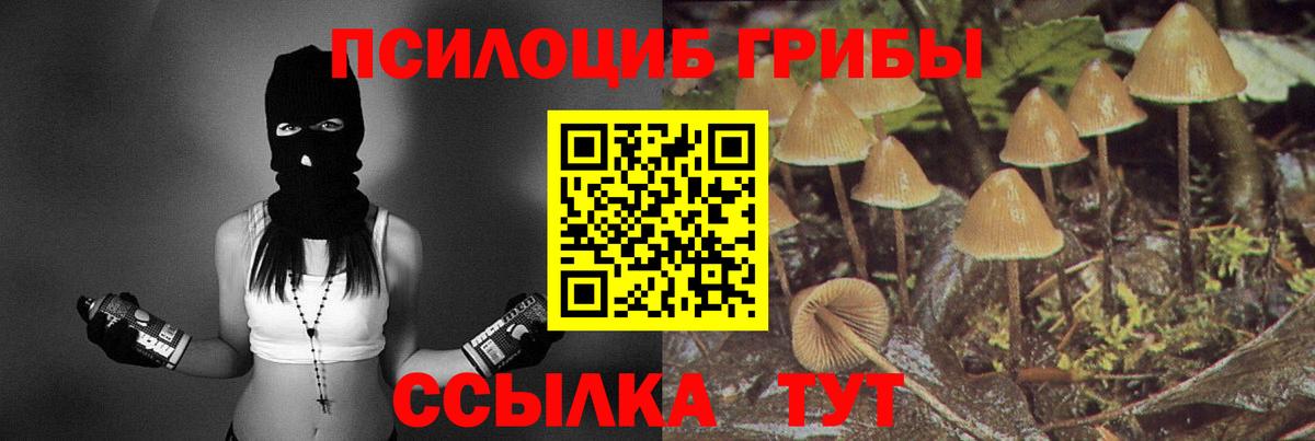 Галлюциногенные грибы ЛСД  Вход с VPN  Воскресенск 